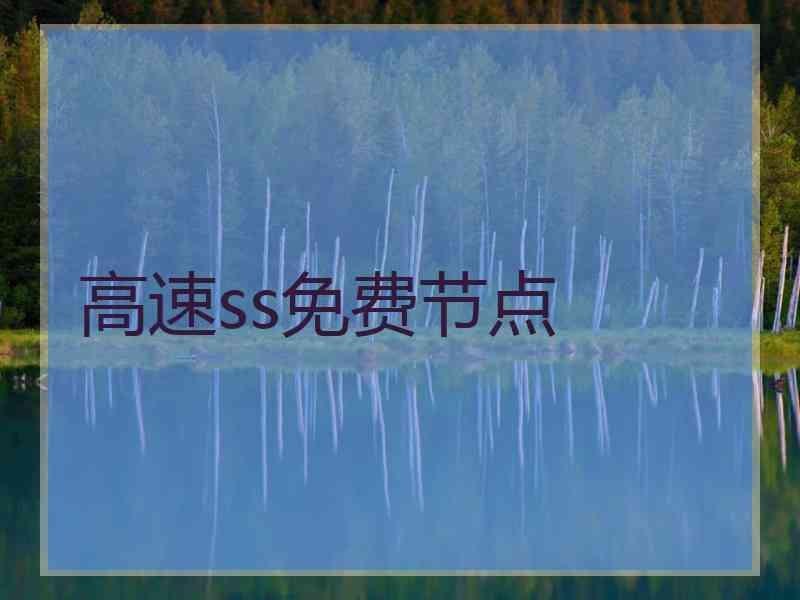 高速ss免费节点