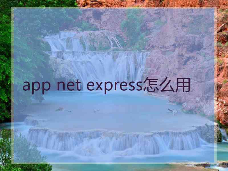 app net express怎么用