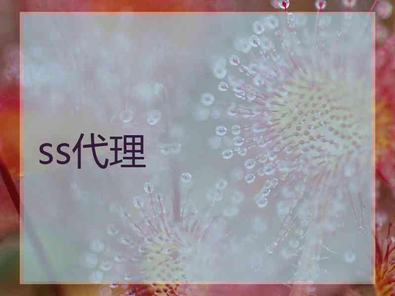ss代理