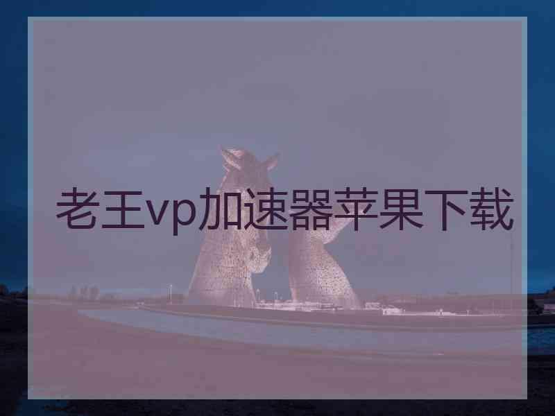 老王vp加速器苹果下载