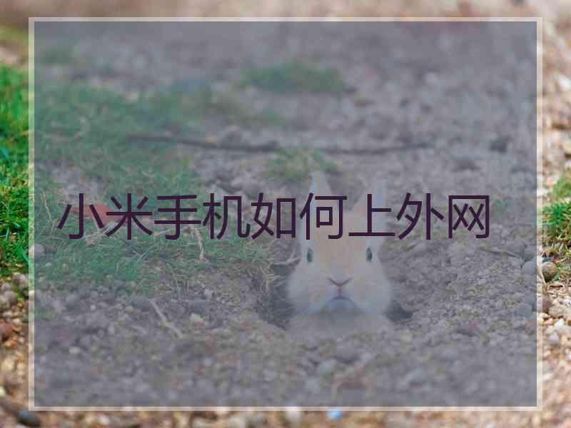小米手机如何上外网