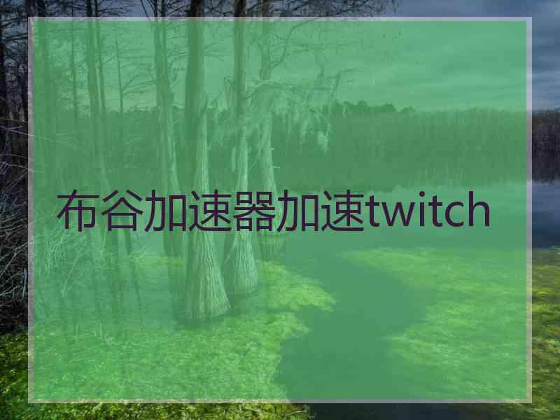 布谷加速器加速twitch