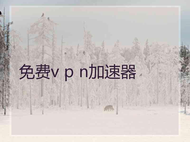 免费v p n加速器