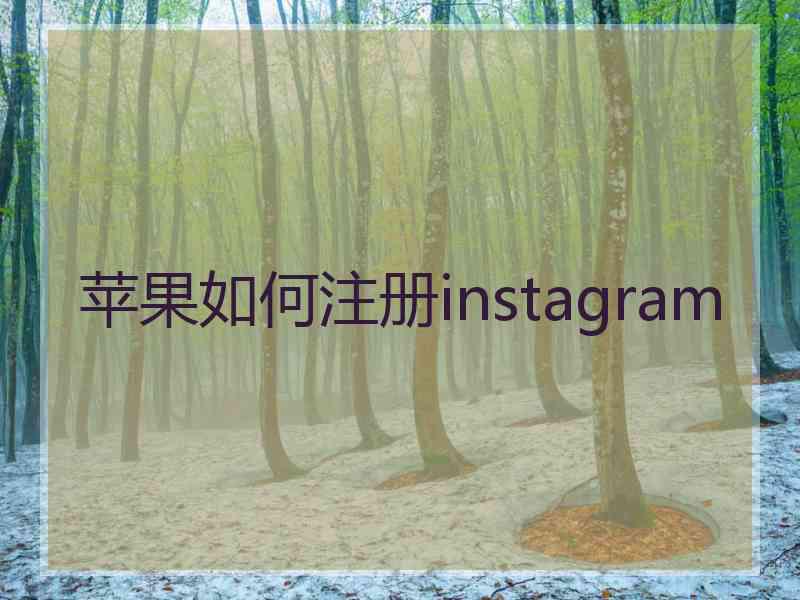 苹果如何注册instagram