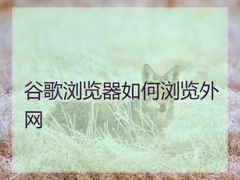 谷歌浏览器如何浏览外网