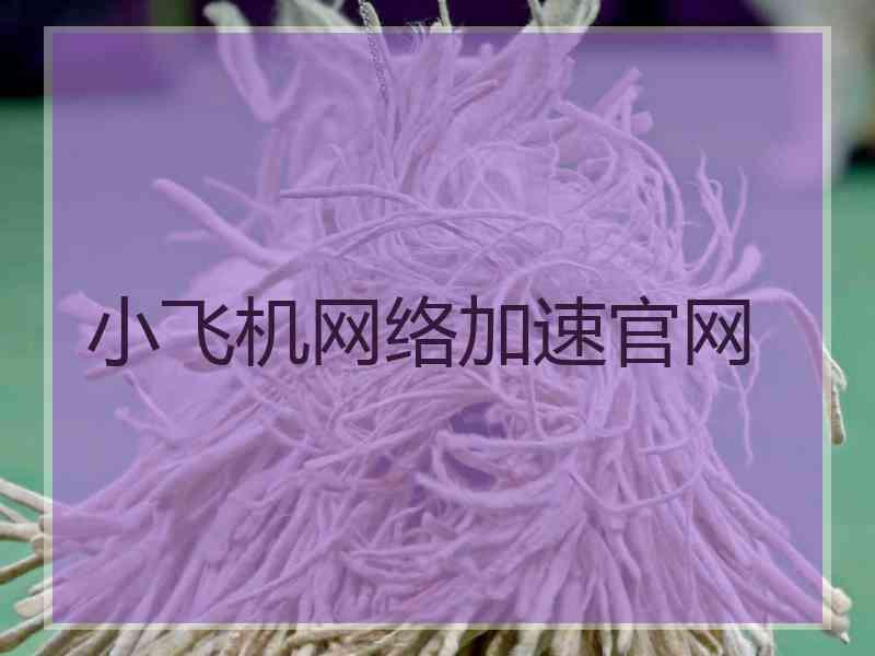 小飞机网络加速官网