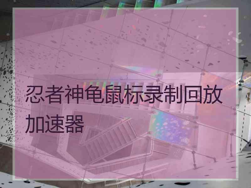 忍者神龟鼠标录制回放加速器