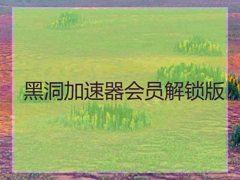 黑洞加速器会员解锁版