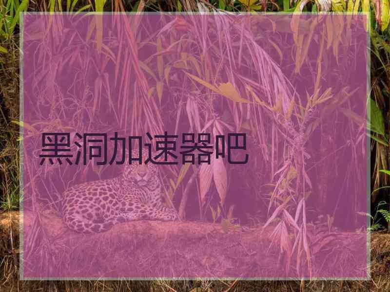 黑洞加速器吧
