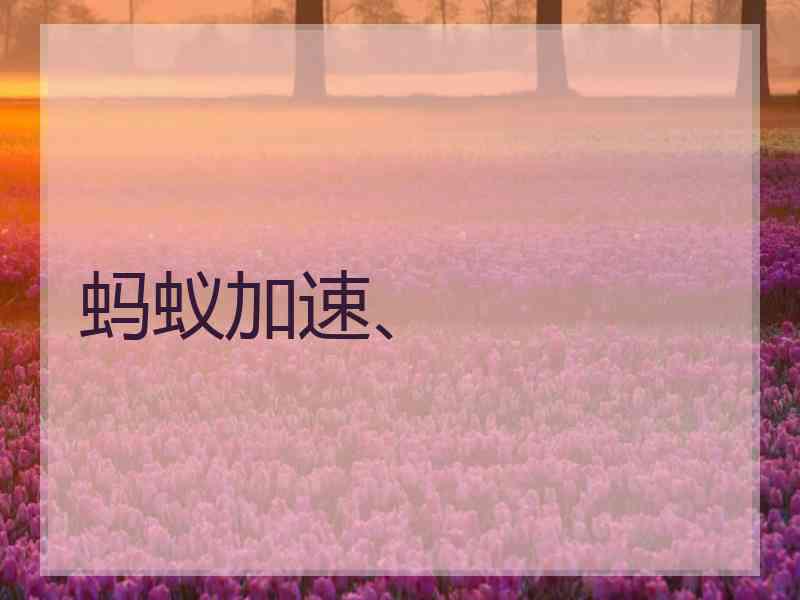 蚂蚁加速、