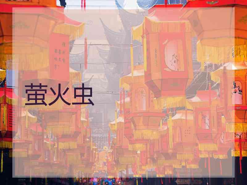 萤火虫