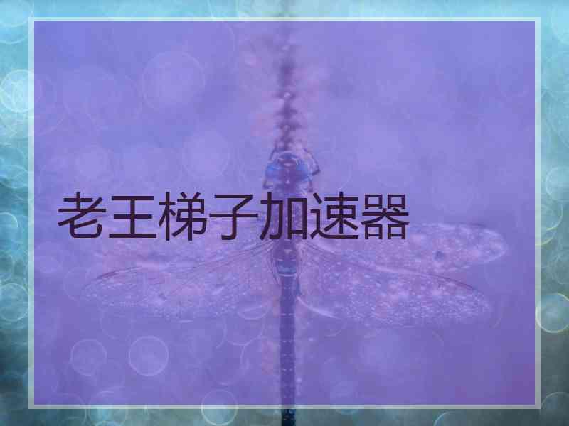 老王梯子加速器