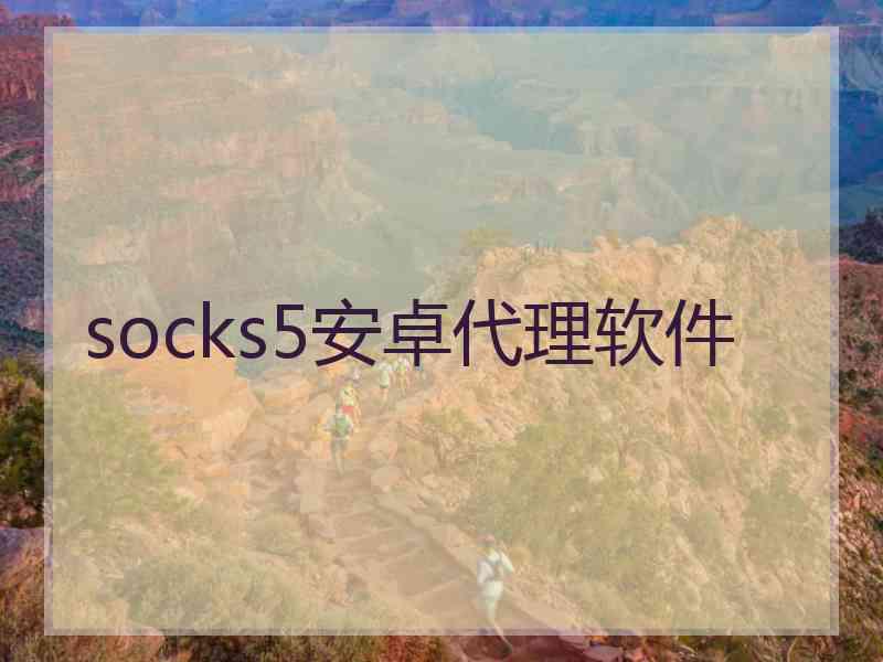 socks5安卓代理软件