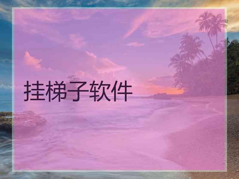 挂梯子软件
