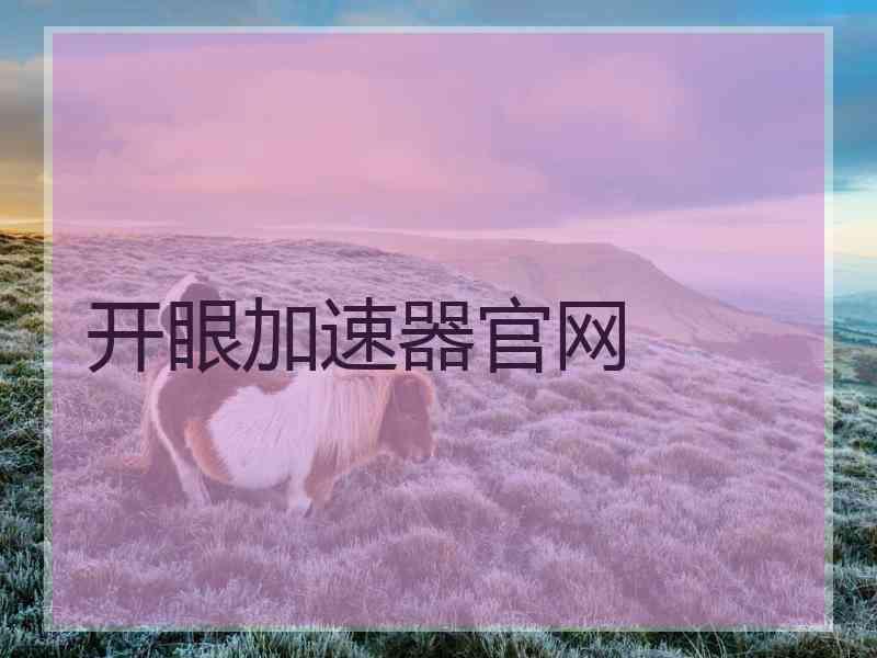 开眼加速器官网