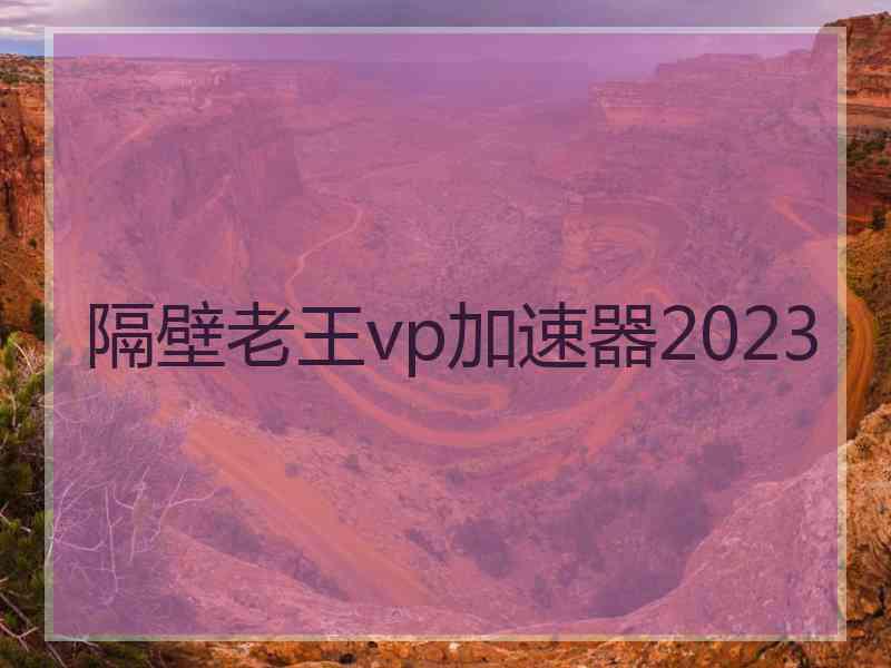 隔壁老王vp加速器2023