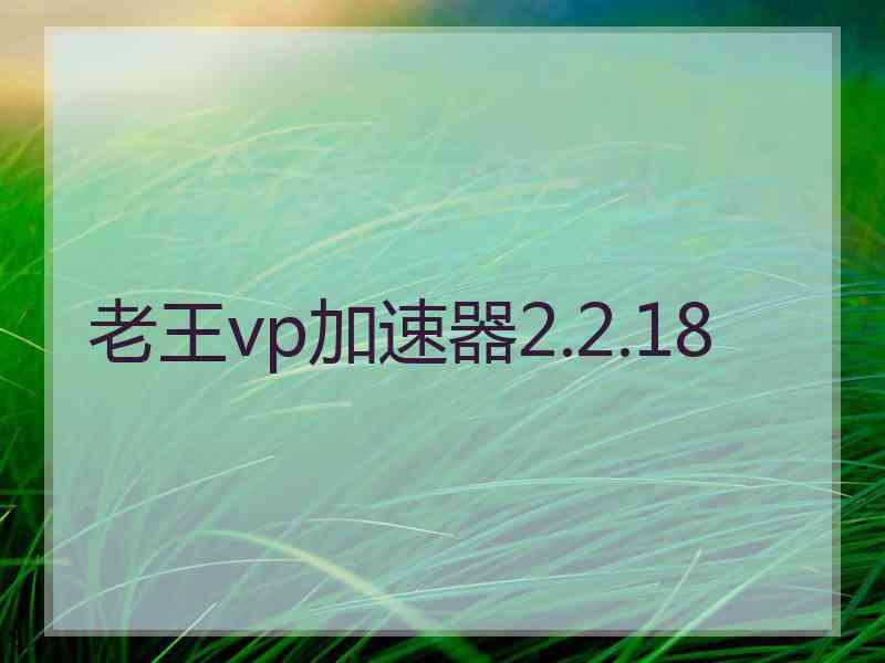 老王vp加速器2.2.18