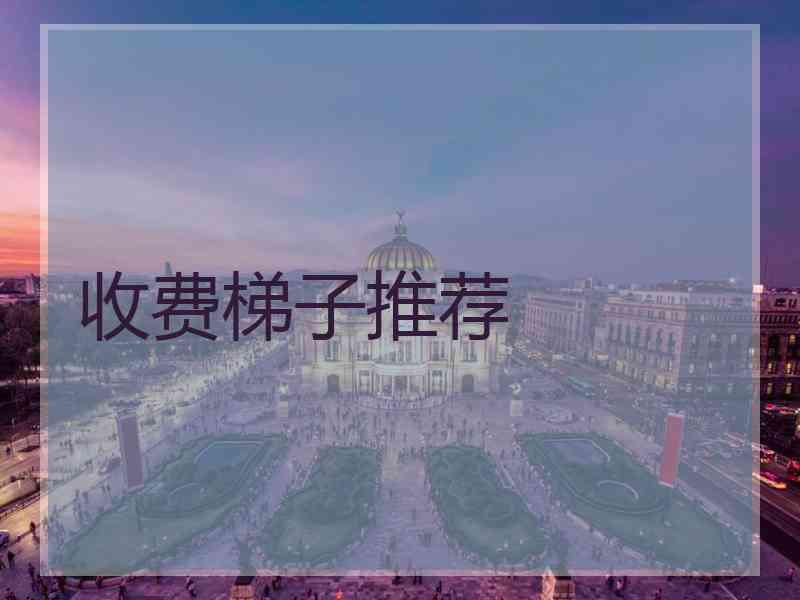 收费梯子推荐