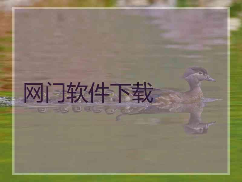 网门软件下载