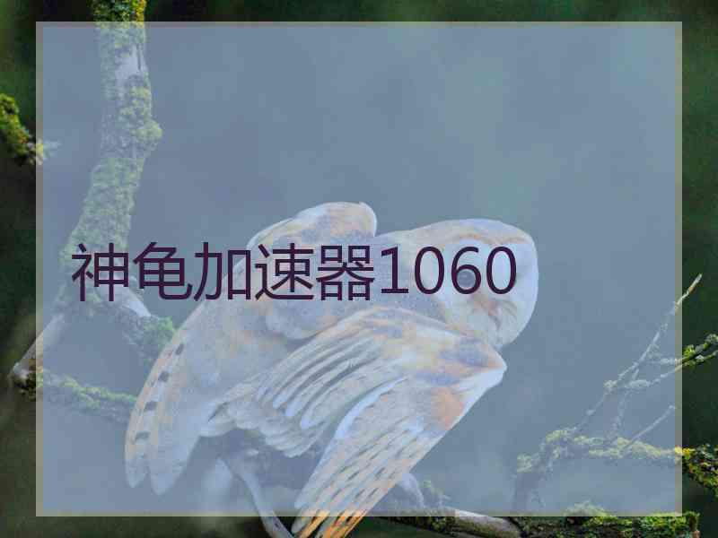 神龟加速器1060