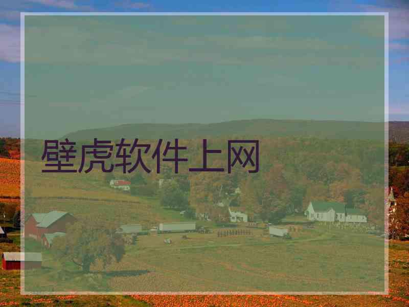 壁虎软件上网