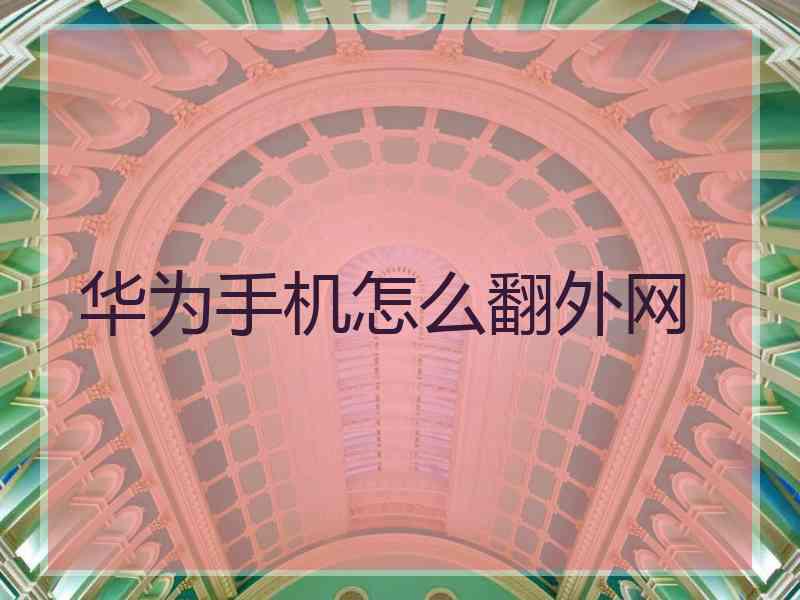 华为手机怎么翻外网