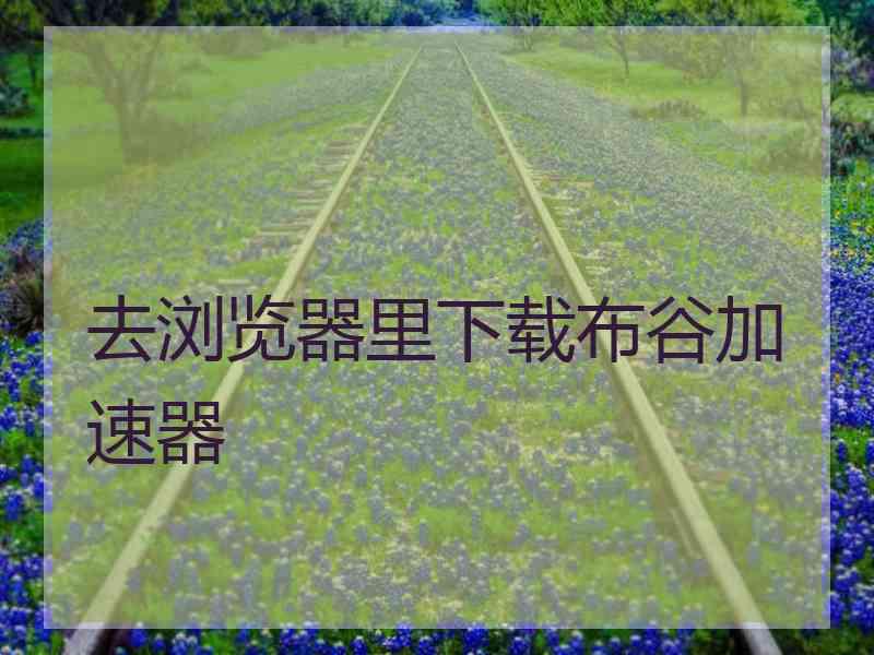 去浏览器里下载布谷加速器