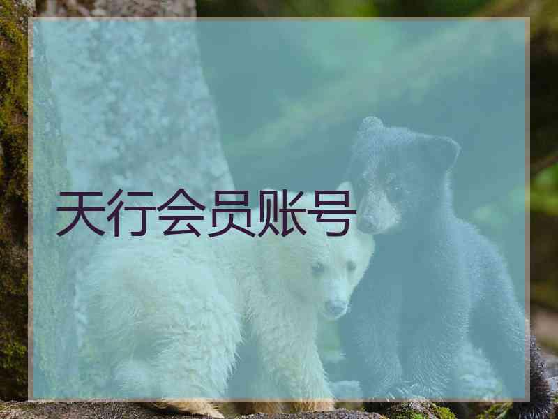 天行会员账号