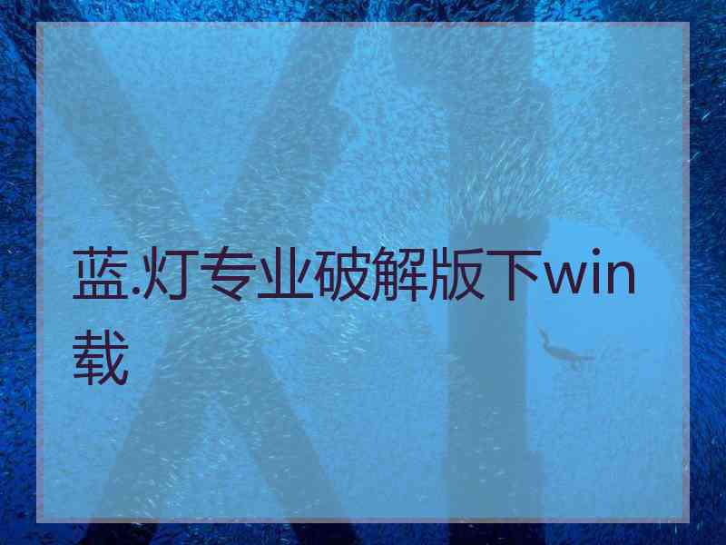 蓝.灯专业破解版下win载