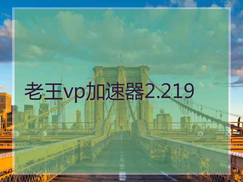 老王vp加速器2.219