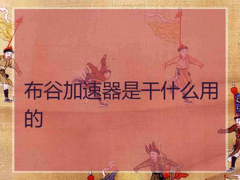 布谷加速器是干什么用的