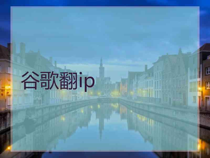 谷歌翻ip