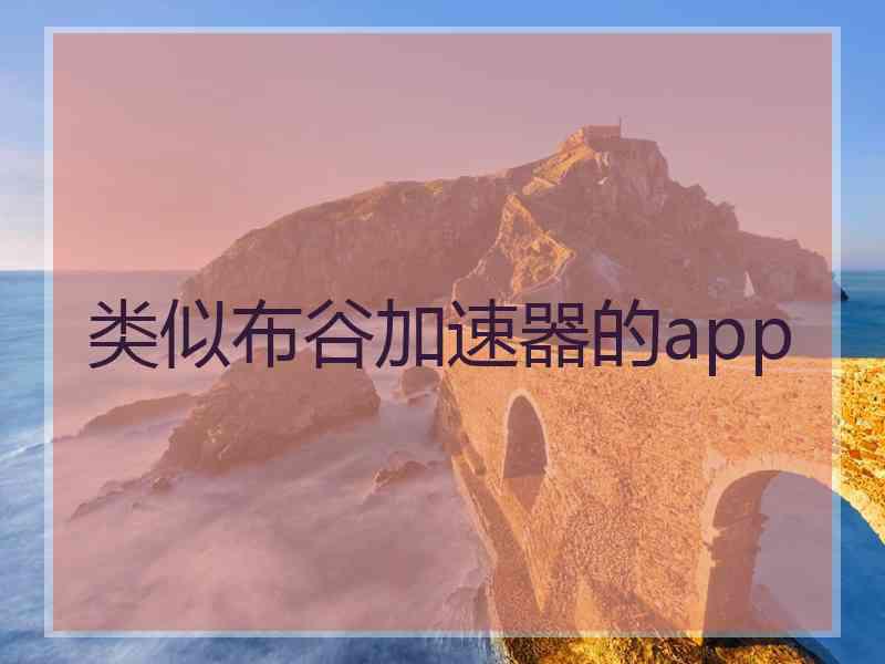 类似布谷加速器的app