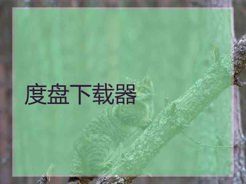 度盘下载器
