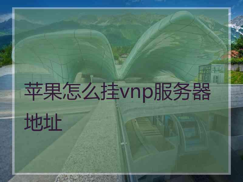 苹果怎么挂vnp服务器地址