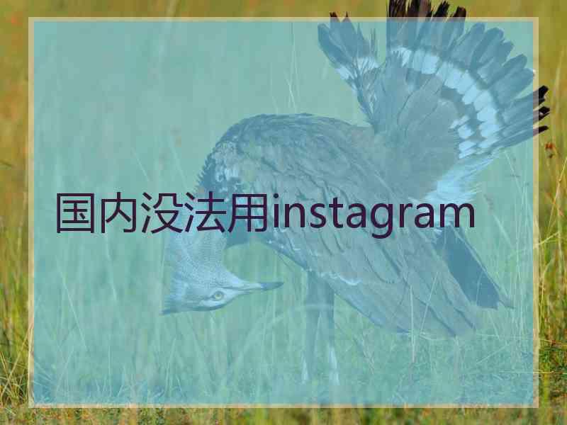 国内没法用instagram