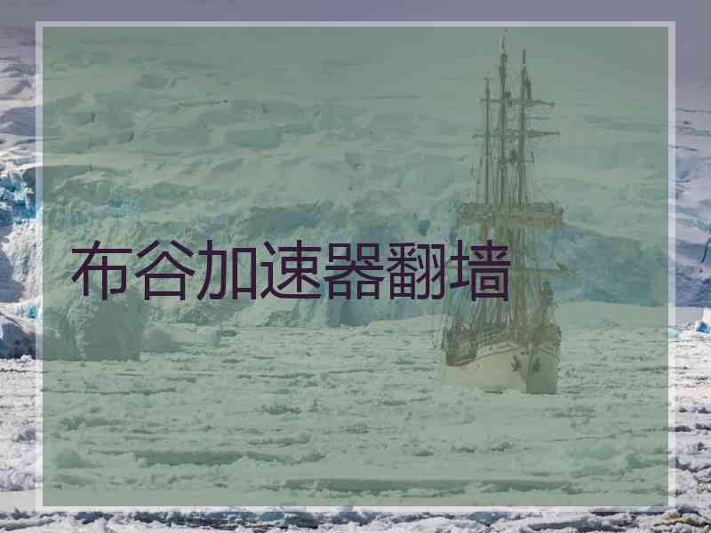 布谷加速器翻墙