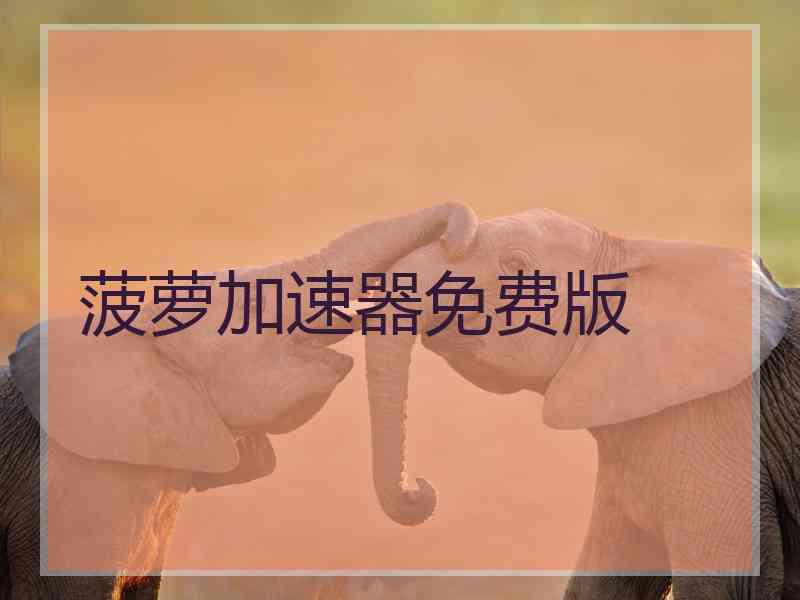 菠萝加速器免费版