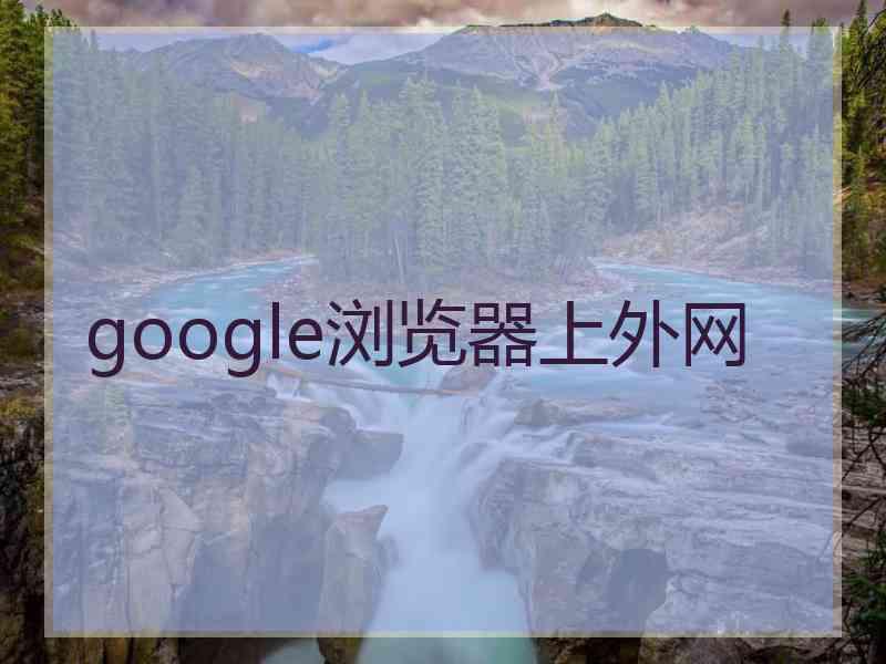 google浏览器上外网