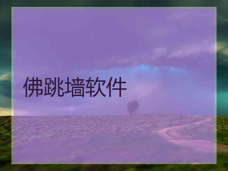 佛跳墙软件