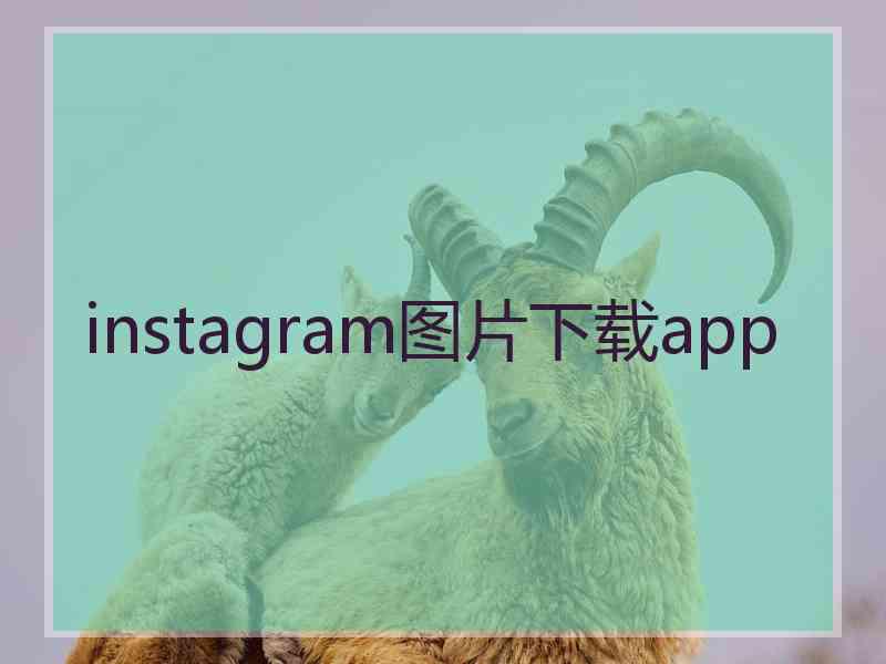 instagram图片下载app