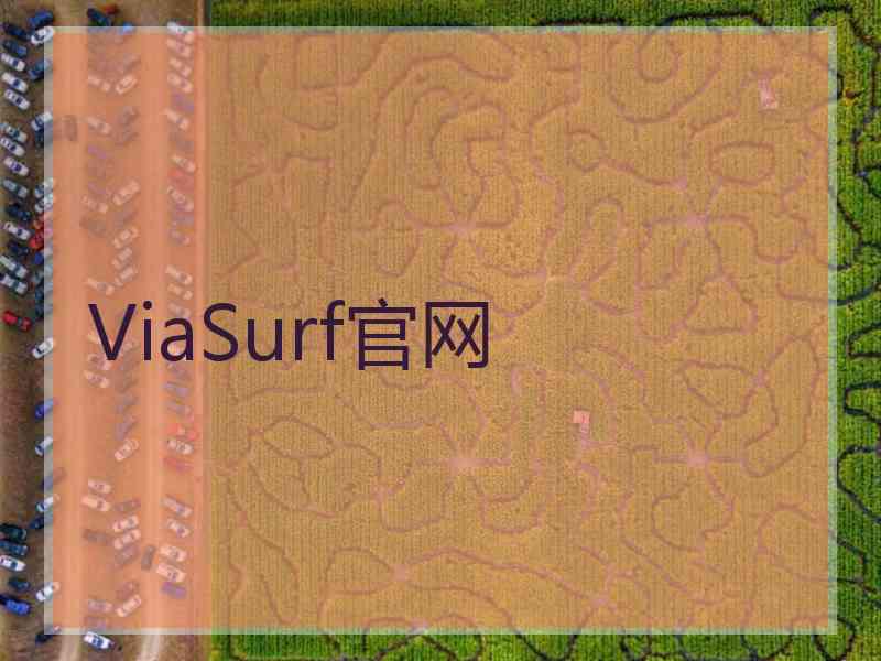 ViaSurf官网