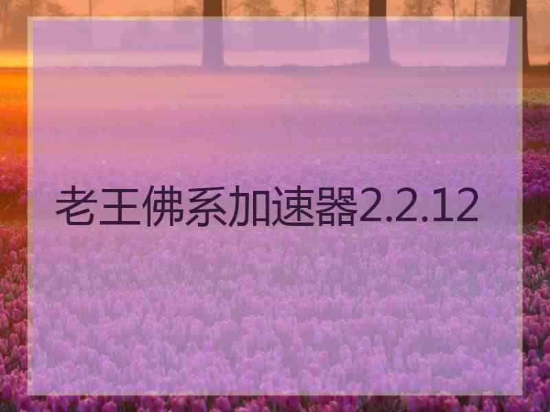 老王佛系加速器2.2.12