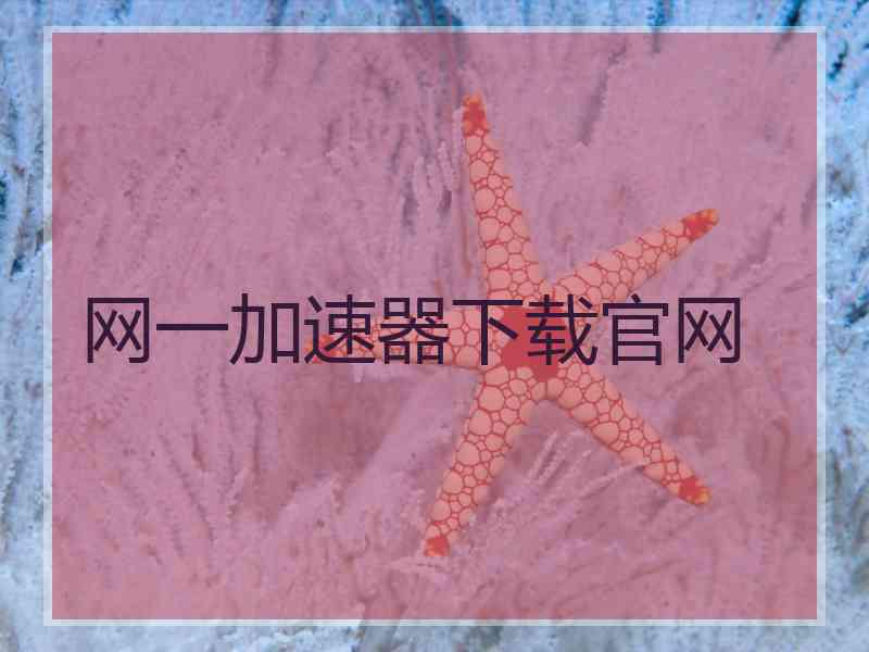 网一加速器下载官网