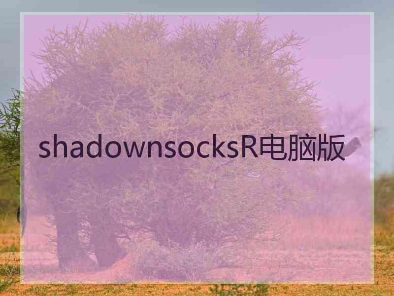 shadownsocksR电脑版