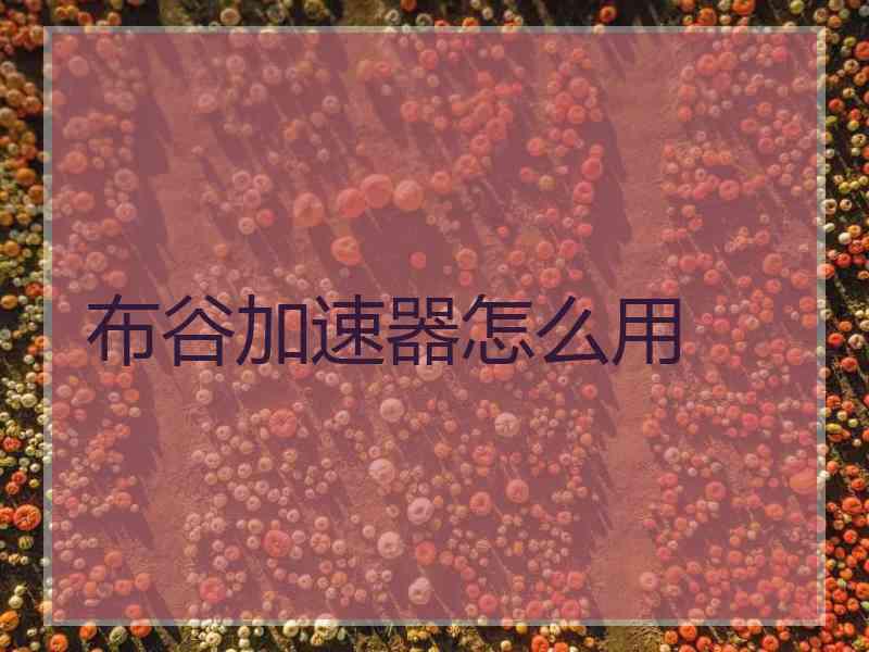 布谷加速器怎么用