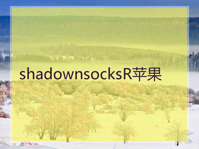 shadownsocksR苹果