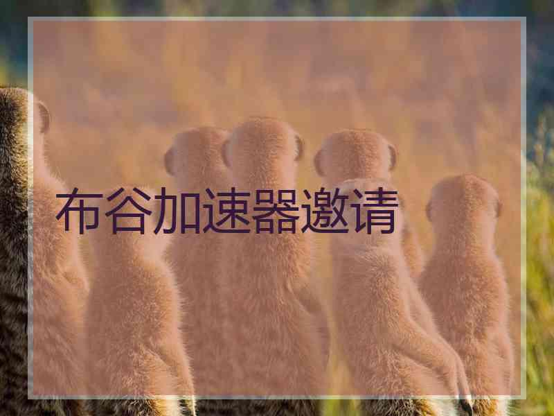 布谷加速器邀请