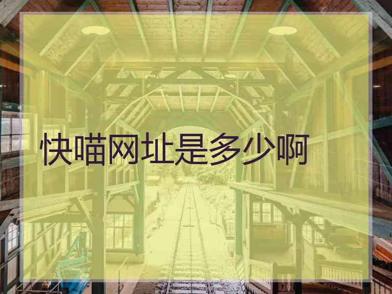 快喵网址是多少啊