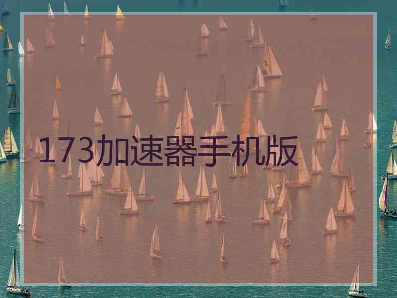173加速器手机版